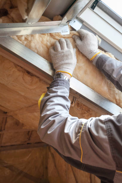 Best Commercial Insulation in Dolgeville, NY