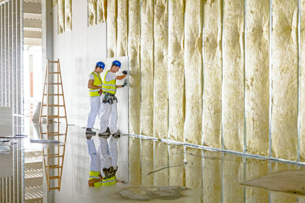 Best Fiberglass Insulation in Dolgeville, NY
